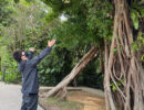 resize12771